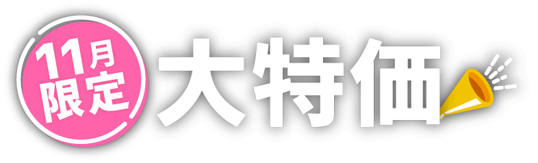 11月限定 大特価