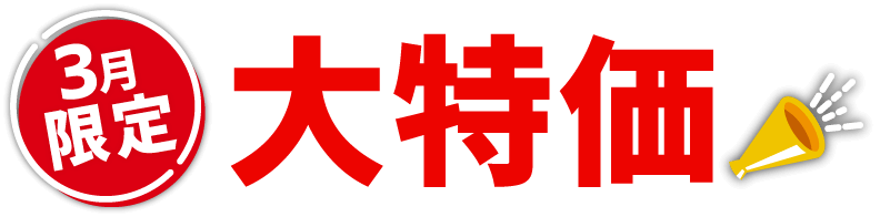 3月限定 大特価