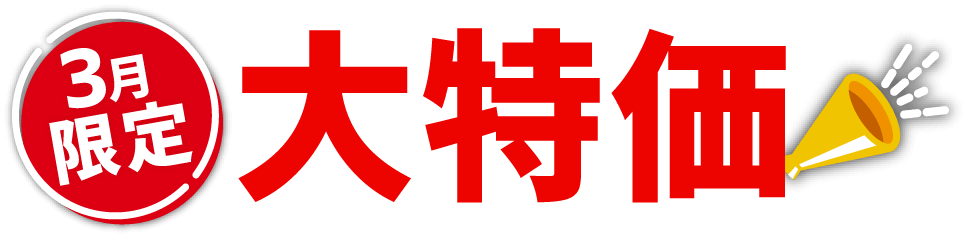 3月限定 大特価