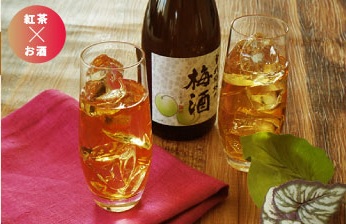 夏の大人ブルックス_梅酒ｘ紅茶