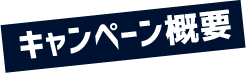 キャンペーン概要