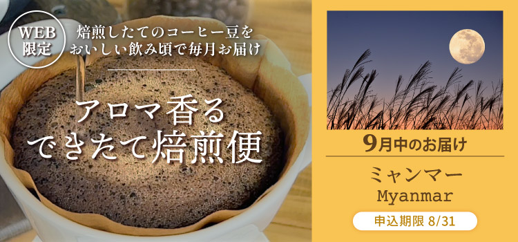 アロマ香る できたて焙煎便 9月中のお届け ミャンマー