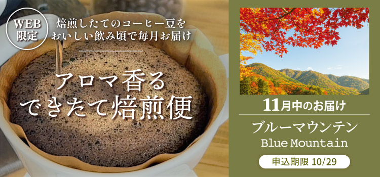 アロマ香る できたて焙煎便 11月中のお届け ブルーマウンテン