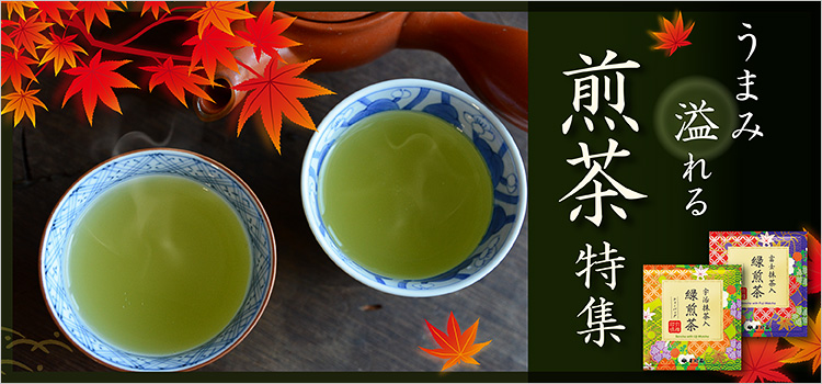 うまみ溢れる煎茶特集