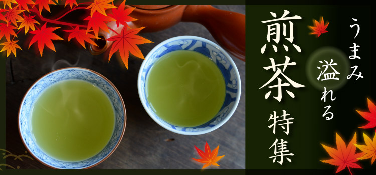 うまみ溢れる煎茶特集