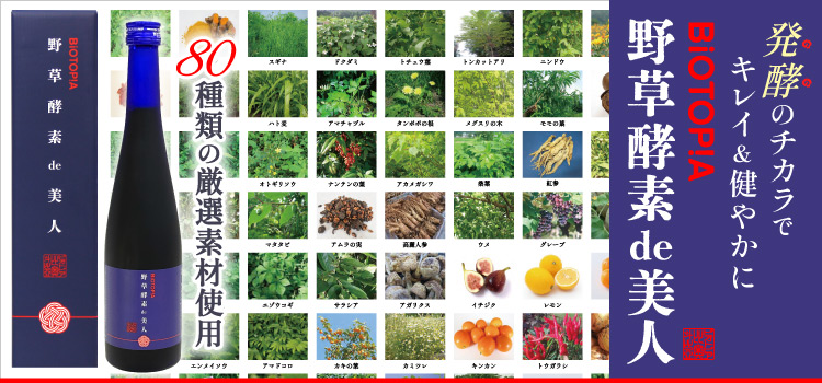 野草酵素 de 美人