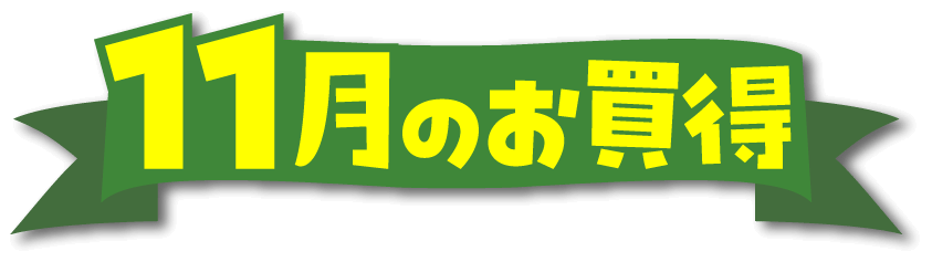 11月のお買得