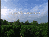 ＣＭプレビュー