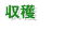 収穫