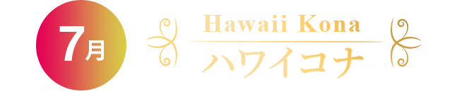 7月 Hawaii Kona ハワイコナ