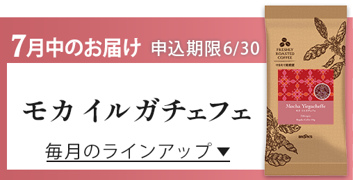 7月中のお届け 申込期限6/30 モカ イルガチェフェ 毎月のラインアップ