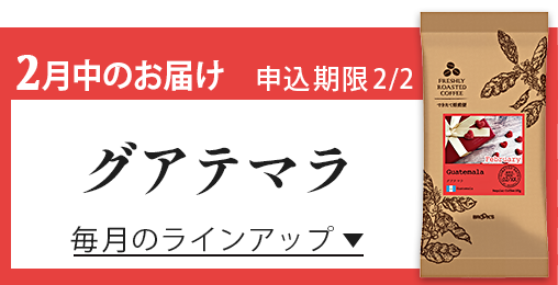 2月中のお届け 申込期限2/2 グアテマラ 毎月のラインアップ