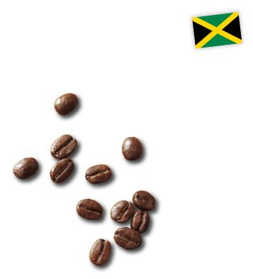 Jamaica