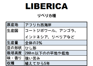 liberica