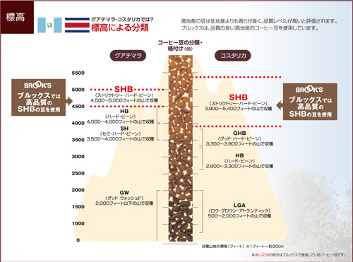 コーヒー豆選びに欠かせない豆のグレードって Brook S Official Blog 略してbob