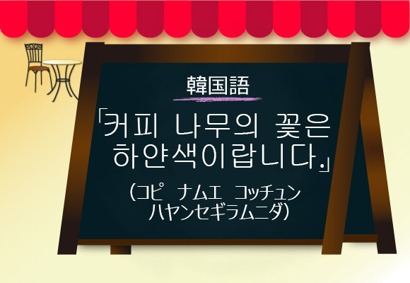 ネイティブスピーカーのひとこと挨拶 韓国語 中国語 英語 フランス語 Brook S Official Blog 略してbob