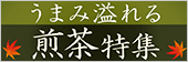うまみ溢れる煎茶特集