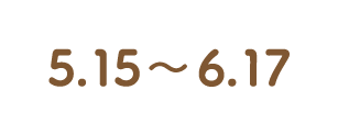 5/15~6/17