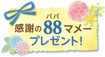 感謝の88(パパ)マメープレゼント!