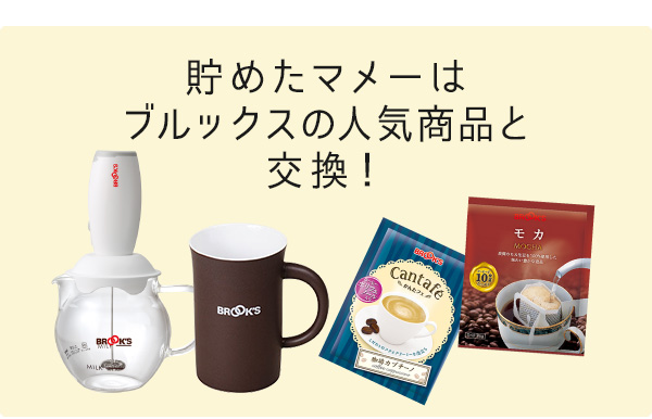 貯めたマメーはブルックスの人気商品と交換