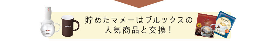 貯めたマメーはブルックスの人気商品と交換