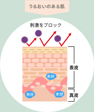 うるおいのある肌