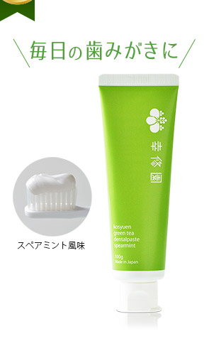 虫歯の日限定 グリーンティー デンタルペースト 毎日の歯みがきに スペアミント風味