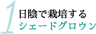 1.日陰で栽培するシェードグロウン