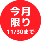 今月限り 11/30まで