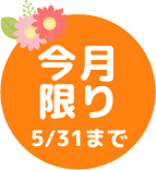 今月限り 5/31まで