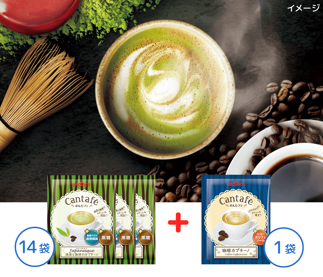 かんたフェ ジャパネスクお試し14袋