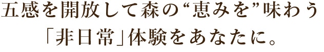 五感を開放して森の“恵みを”味わう「非日常」体験をあなたに。