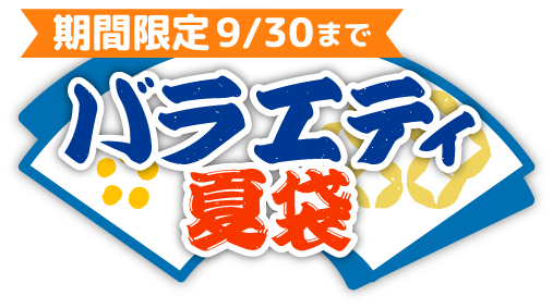 バラエティ夏袋 期間限定9/30まで 