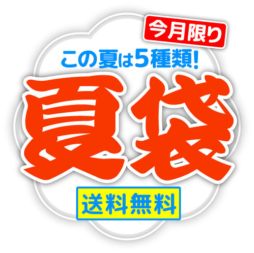 夏袋 この夏は5種類 送料無料 今月限り