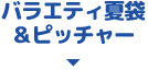 バラエティ夏袋&ピッチャー