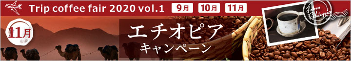 エチオピアキャンペーン