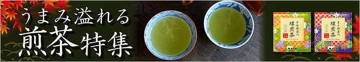 うまみ溢れる 煎茶特集