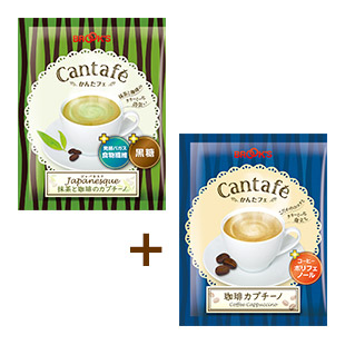 かんたフェ ジャパネスクお試し 14袋