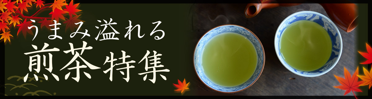 うまみ溢れる 煎茶特集