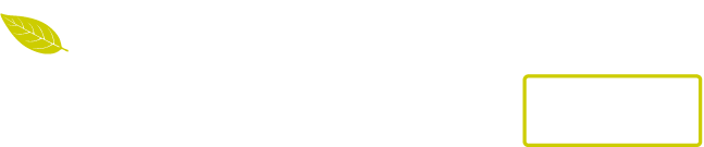 新茶のおいしい淹れ方 いつもより一手間かけて春の息吹をゆっくりとお楽しみください。新茶共通