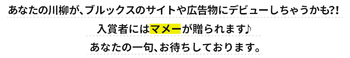 あなたの川柳が、ブルックスのサイトや広告物にデビューしちゃうかも？！ 入賞者にはマメーが贈られます♪ あなたの一句、お待ちしております。