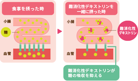 糖の吸収を抑える