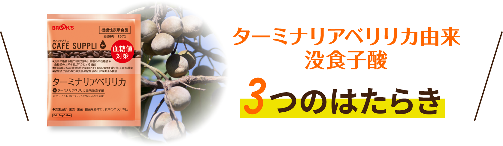 ターミナリアベリリカ由来没食子酸 3つのはたらき