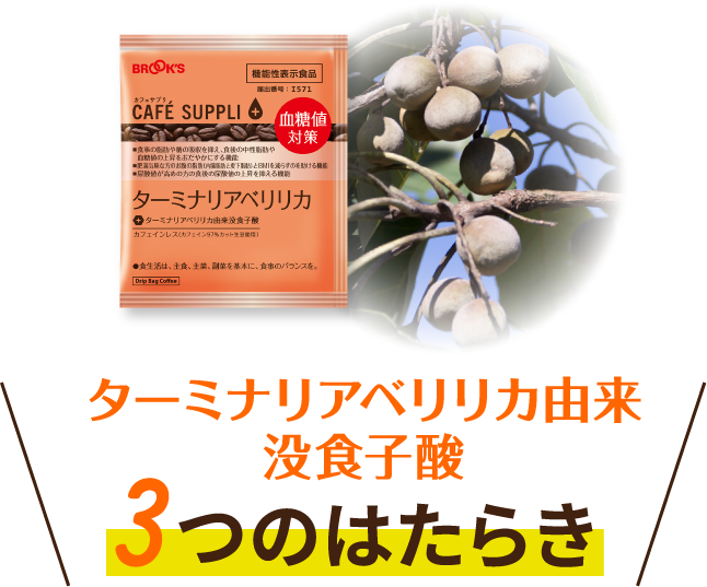 ターミナリアベリリカ由来没食子酸 3つのはたらき