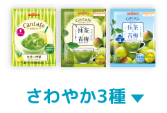 さわやか3種