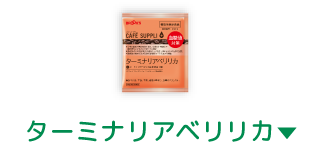 ターミナリアベリリカ