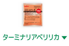 ターミナリアベリリカ