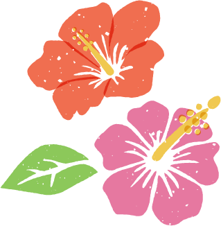 ハイビスカスイラスト