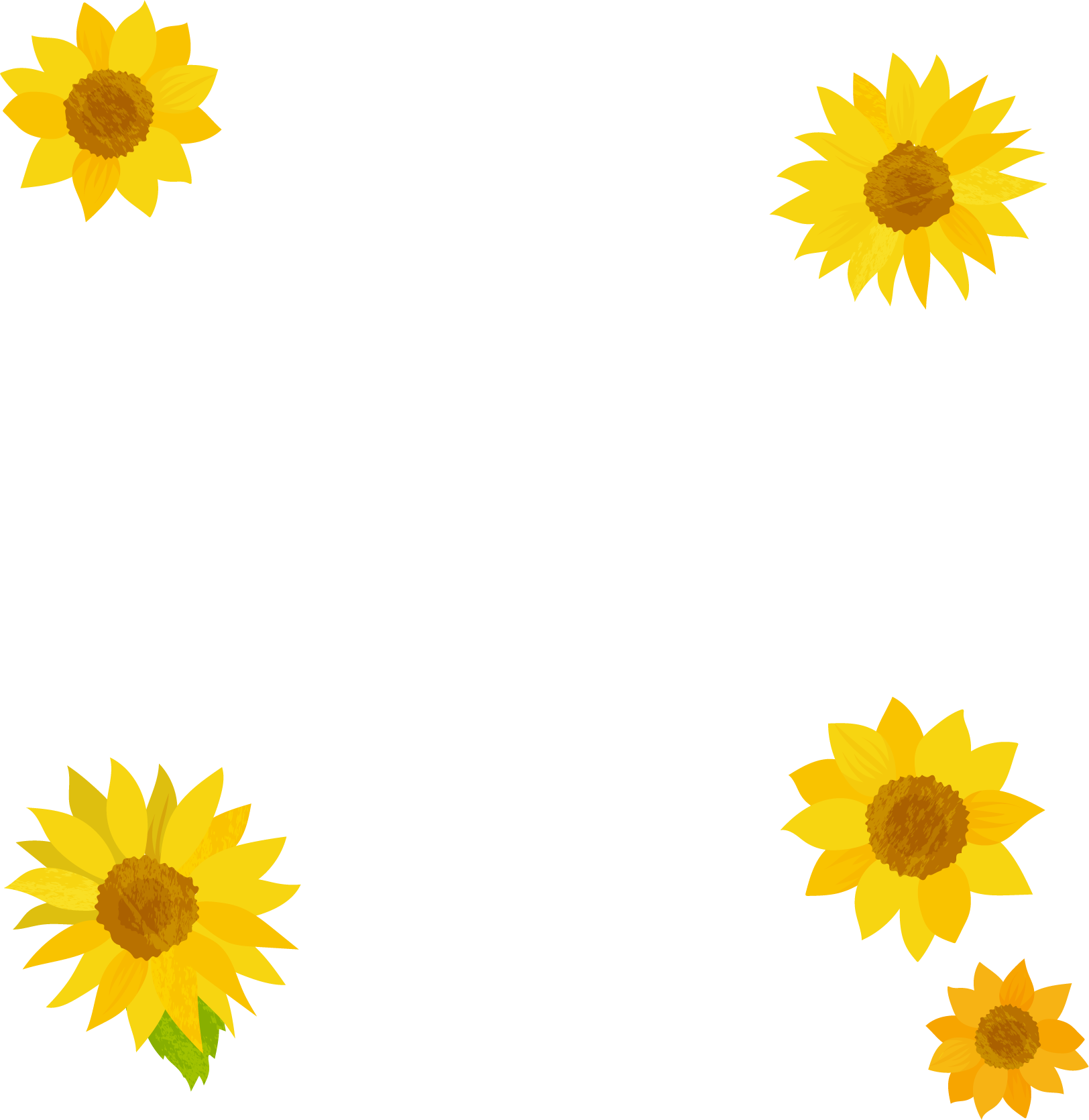ひまわり