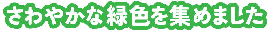 さわやかな緑色を集めました
